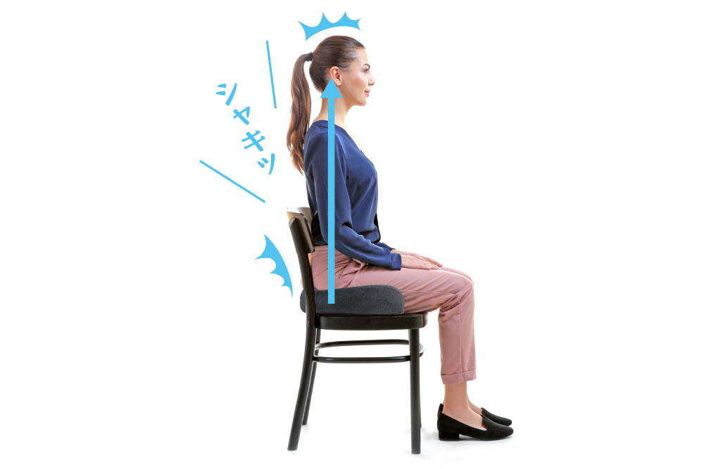 デスクワークの腰痛は座り方が原因 正しい座り方のポイントを解説 Amepla