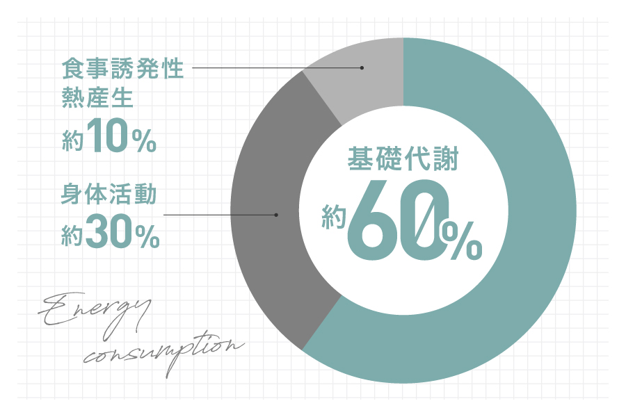 消費エネルギーの内訳