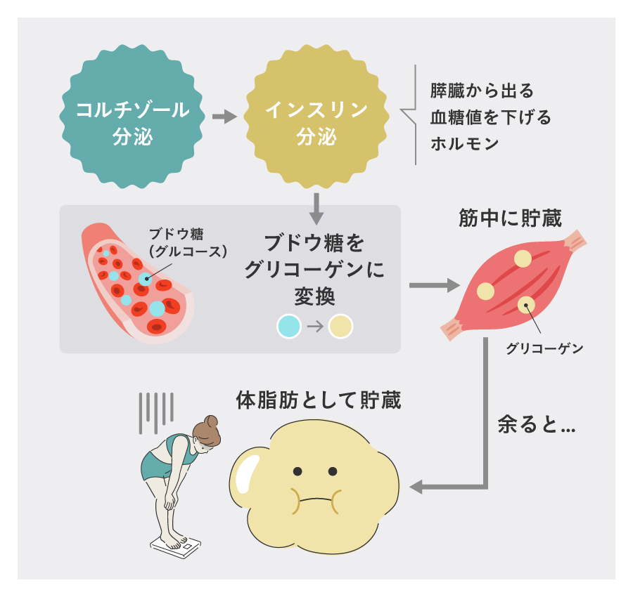 楽して痩せたい！】ツラいダイエットとはさよなら！ラクに続けられて効果が出るダイエットって？ | amepla