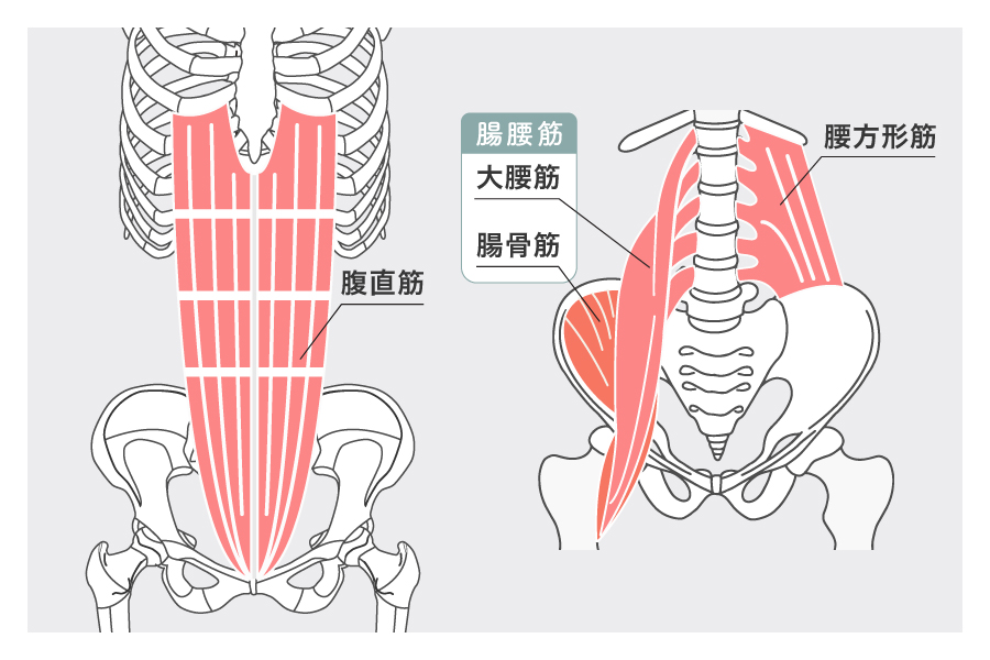 腹直筋と腸腰筋