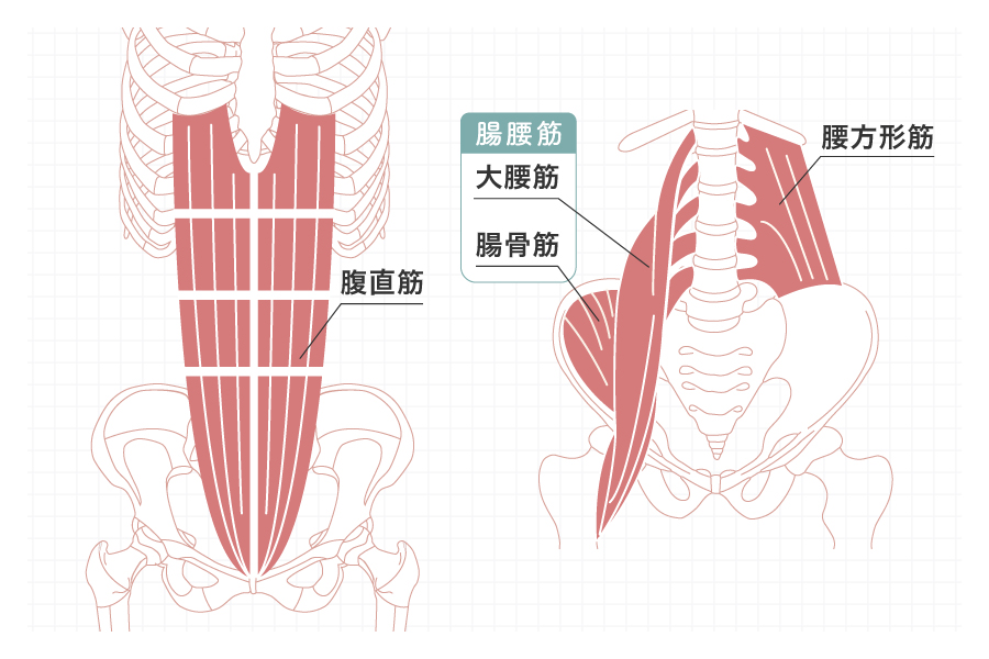インナーマッスルを鍛える
