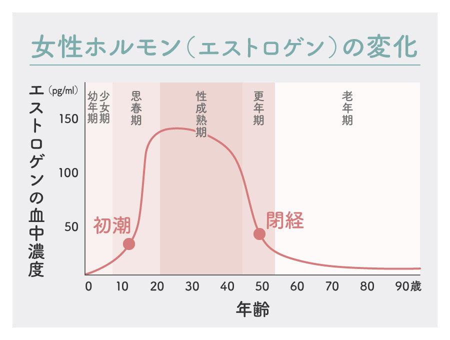 女性ホルモン（エストロゲン）の変化